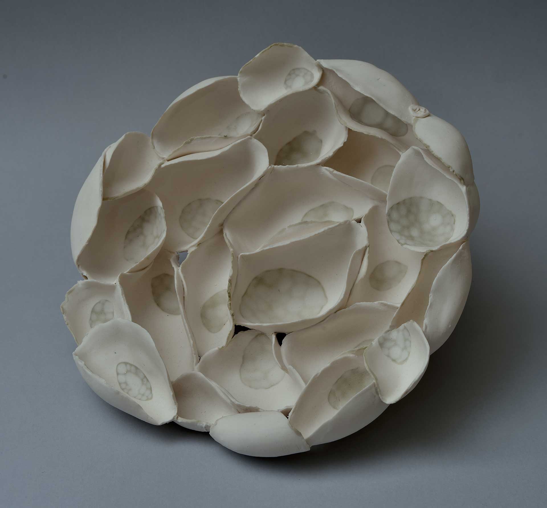seeds - porcelain, metallic salts - 2015