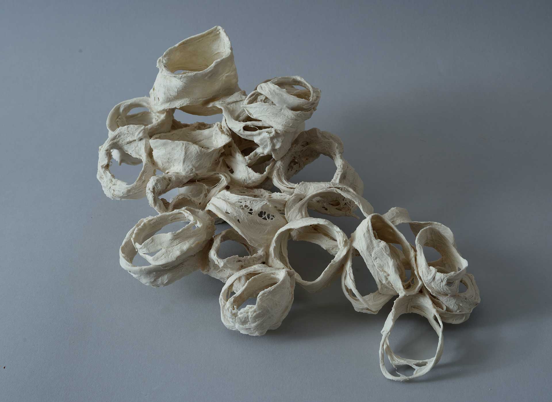 tracce - fibre vegetali e porcellana - 2012